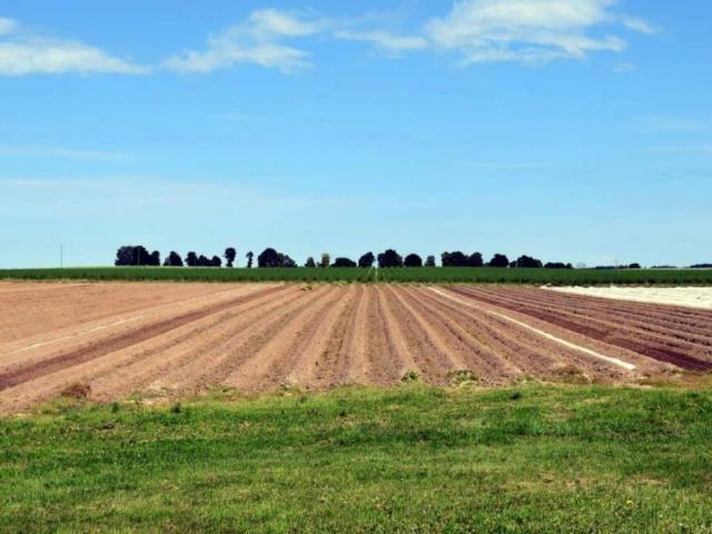 Terreno in vendita a Unione delle Terre d'Argine, Novi Di Modena