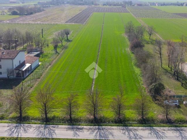 Terreno in vendita a Unione delle Terre d'Argine, Novi Di Modena