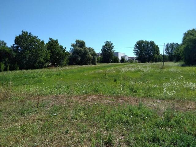 Terreno in vendita a Unione delle Terre d'Argine, Novi Di Modena