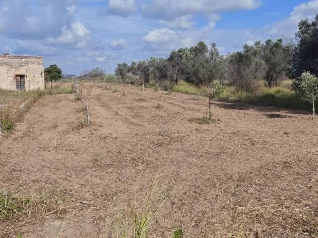 Terreno in vendita a Puglia, Lecce