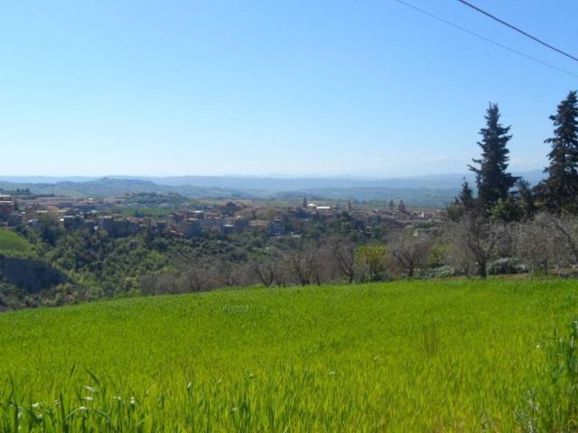 Terreno in vendita a San Barnaba, Marche