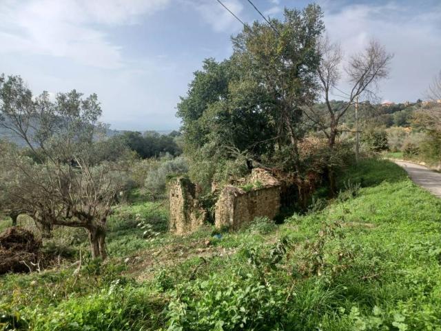 Terreno in vendita a Cicerale, Campania