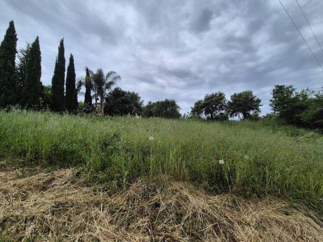 Terreno in vendita a Ogliastro Cilento, Campania