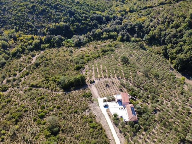 Terreno in vendita a Finocchito, Ogliastro Cilento