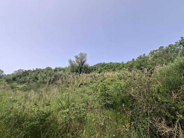 Terreno in vendita a Cicerale, Campania