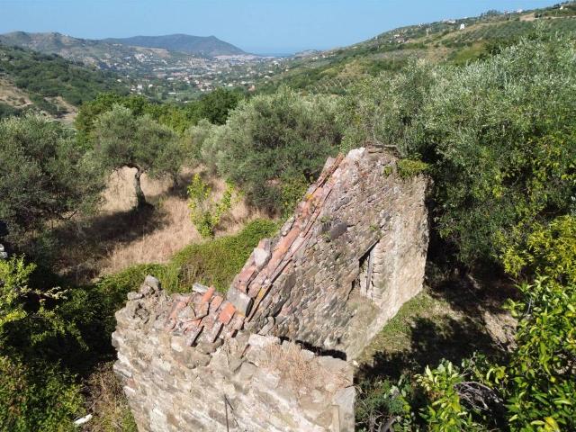 Terreno in vendita a Ogliastro Cilento, Campania