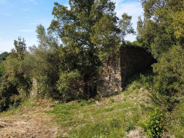 Terreno in vendita a Ogliastro Cilento, Campania