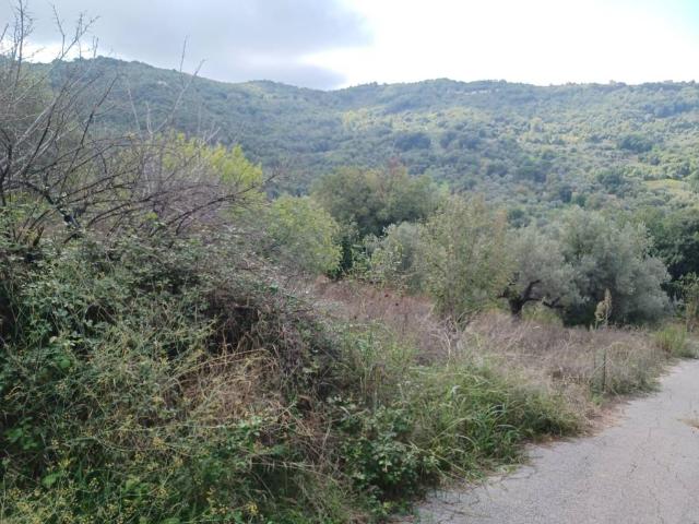 Terreno in vendita a Ogliastro Cilento, Campania