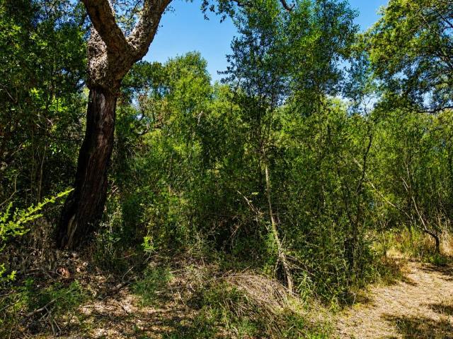 Terreno in vendita a San Pantaleo, Sardigna/Sardegna