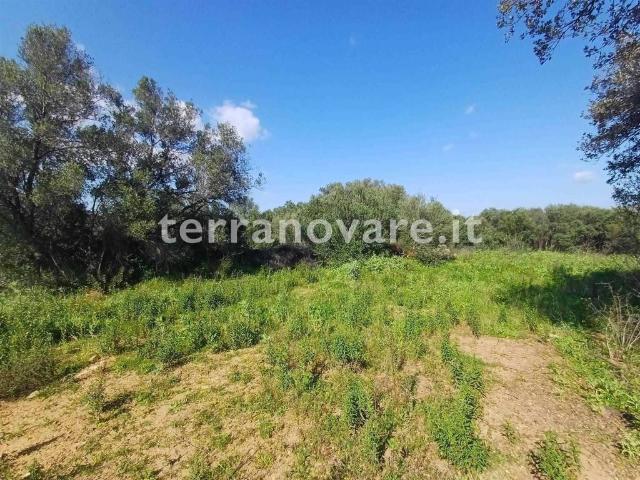 Terreno in vendita a San Pantaleo, Sardigna/Sardegna