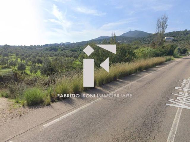 Terreno in vendita a San Pantaleo, Sardigna/Sardegna