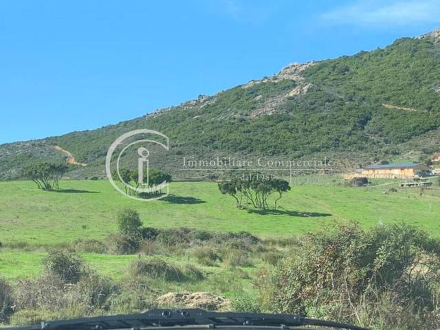 Terreno in vendita a San Pantaleo, Sardigna/Sardegna