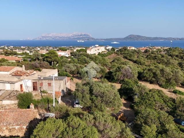 Terreno in vendita a San Pantaleo, Sardigna/Sardegna