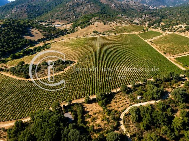 Terreno in vendita a San Pantaleo, Sardigna/Sardegna