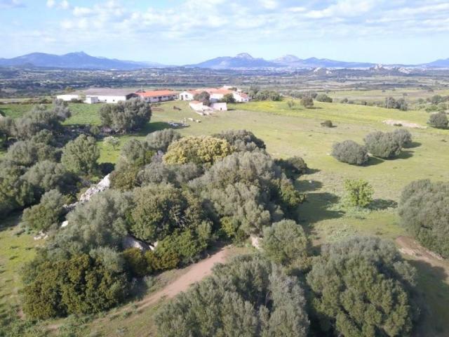 Terreno in vendita a San Pantaleo, Sardigna/Sardegna