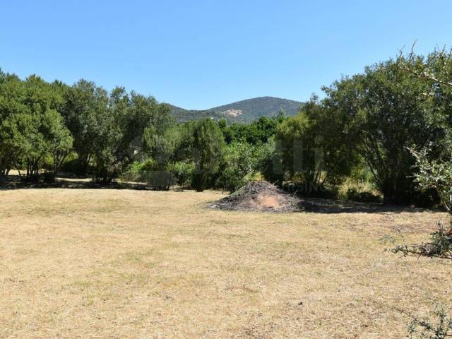 Terreno in vendita a San Pantaleo, Sardigna/Sardegna