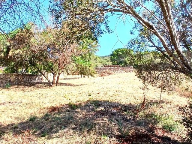 Terreno in vendita a San Pantaleo, Sardigna/Sardegna