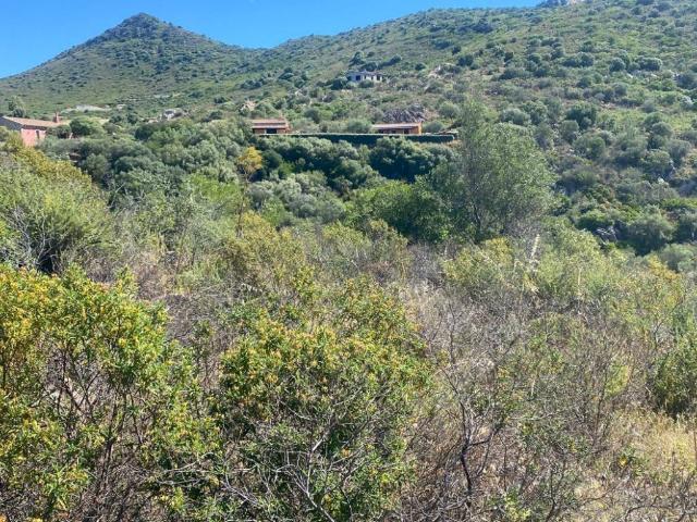Terreno in vendita a San Pantaleo, Sardigna/Sardegna