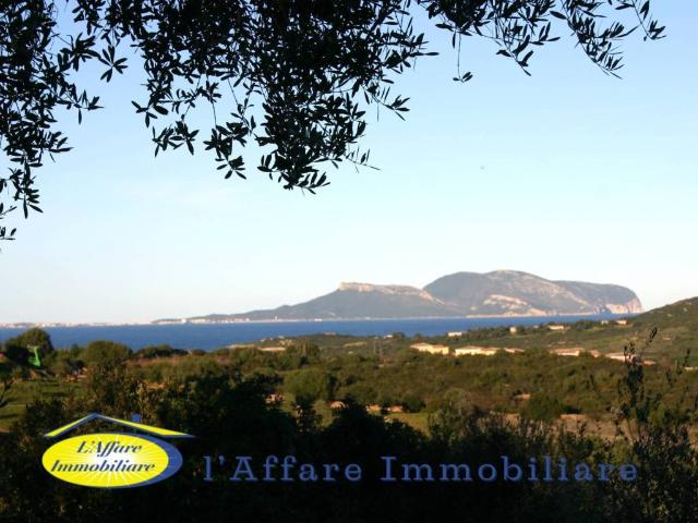 Terreno in vendita a San Pantaleo, Sardigna/Sardegna