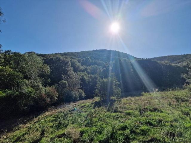 Terreno in vendita a San Pantaleo, Sardigna/Sardegna
