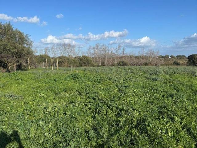 Terreno in vendita a San Pantaleo, Sardigna/Sardegna