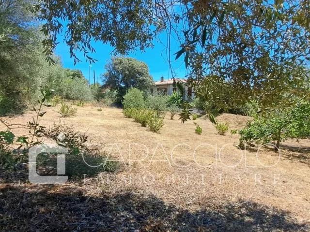 Terreno in vendita a San Pantaleo, Sassari