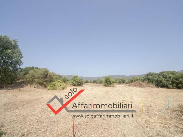 Terreno in vendita a San Pantaleo, Sardigna/Sardegna