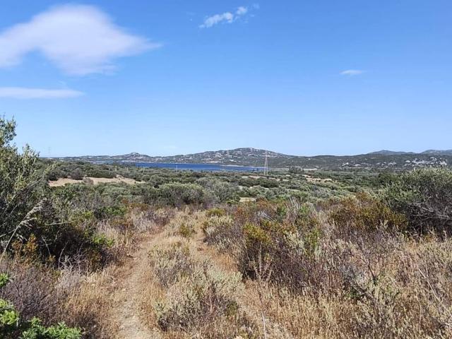 Terreno in vendita a San Pantaleo, Sardigna/Sardegna