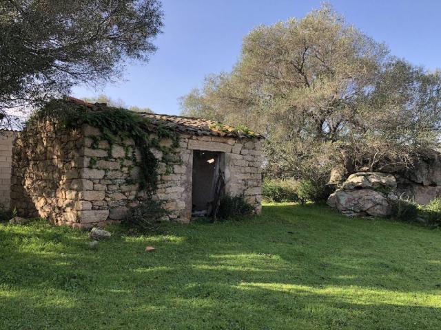 Terreno in vendita a San Pantaleo, Sardigna/Sardegna
