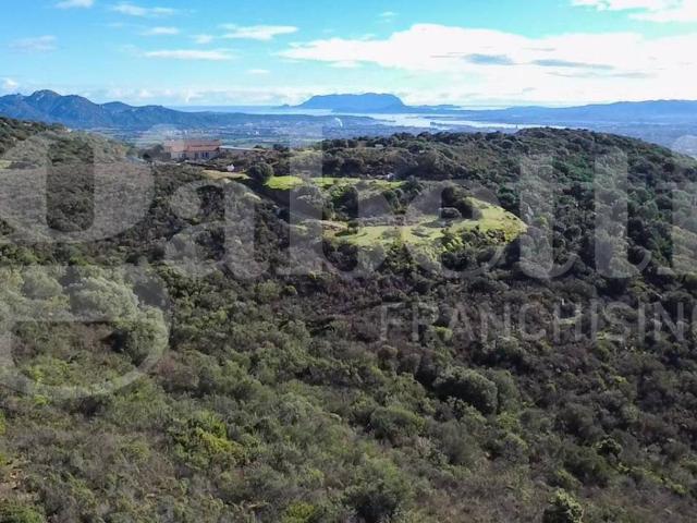 Terreno in vendita a San Pantaleo, Sardigna/Sardegna