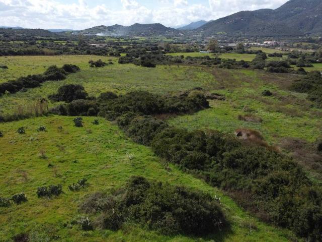 Terreno in vendita a San Pantaleo, Sardigna/Sardegna