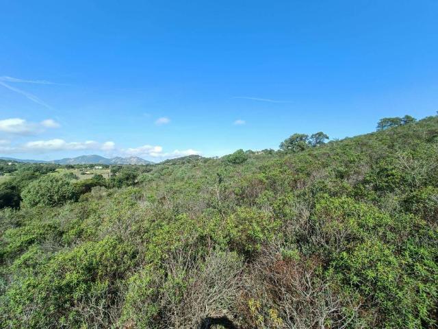Terreno in vendita a San Pantaleo, Sardigna/Sardegna