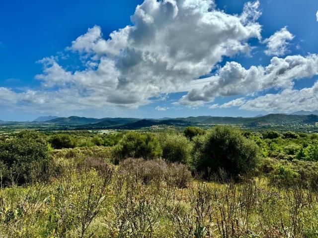 Terreno in vendita a San Pantaleo, Sassari