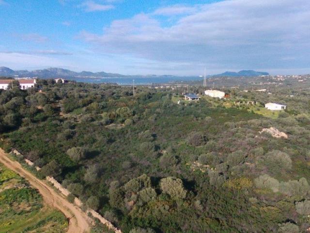 Terreno in vendita a San Pantaleo, Sardigna/Sardegna