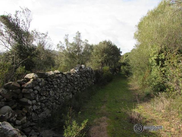 Terreno in vendita a San Pantaleo, Sardigna/Sardegna