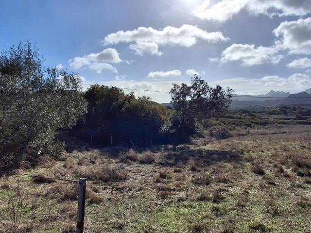 Terreno in vendita a San Pantaleo, Sardigna/Sardegna