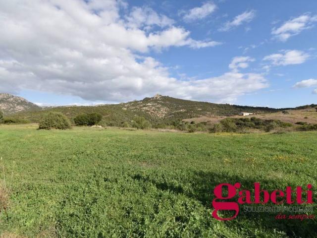 Terreno in vendita a San Pantaleo, Sardigna/Sardegna