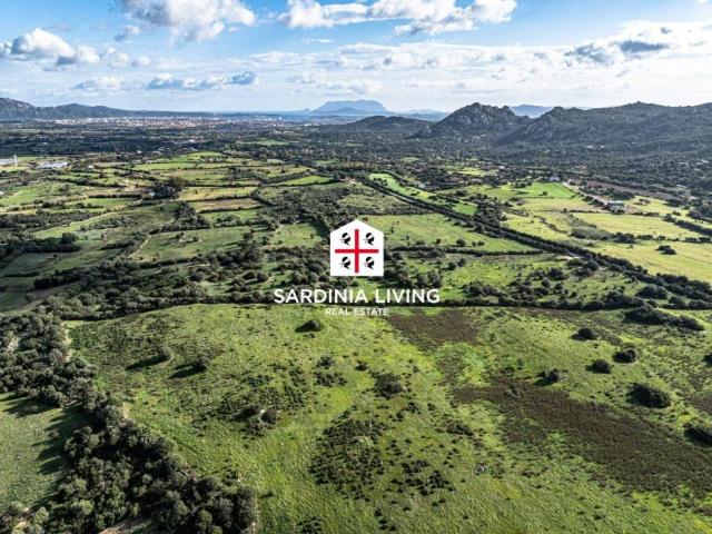 Terreno in vendita a San Pantaleo, Sardigna/Sardegna
