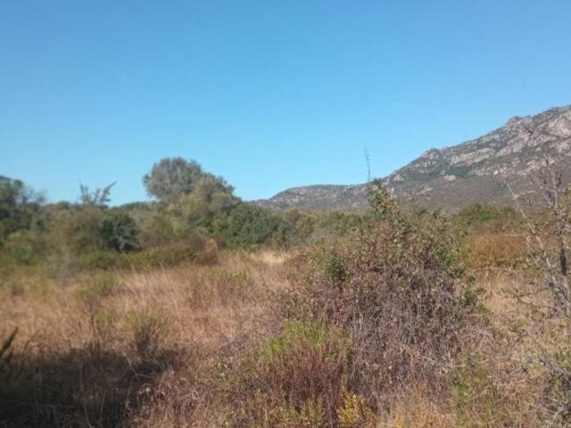 Terreno in vendita a San Pantaleo, Sardigna/Sardegna