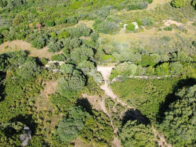 Terreno in vendita a San Pantaleo, Sardigna/Sardegna