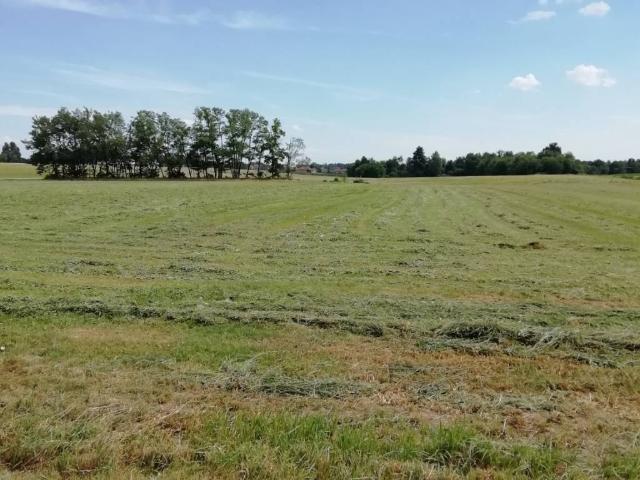 Terreno in vendita a Oleggio, Novara