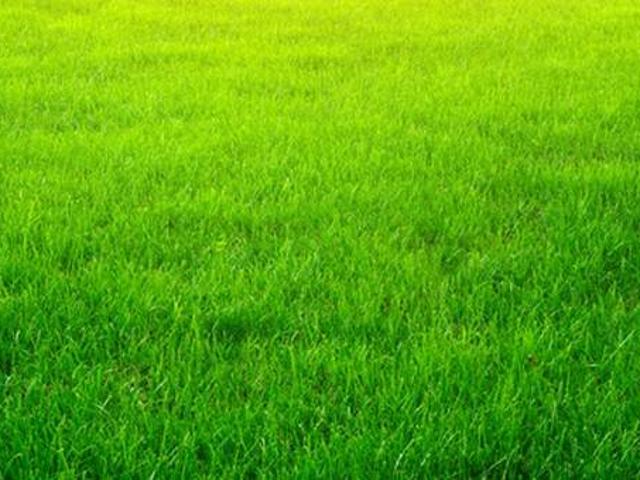 Terreno in vendita a Cascina del Pè, Faloppio