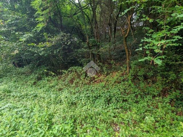 Terreno in vendita a Olgiate Molgora, Lombardia