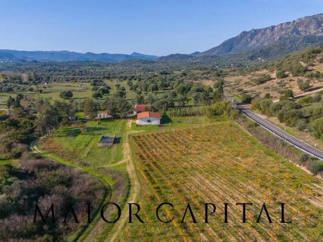 Terreno in vendita a Oliena, Sardigna/Sardegna