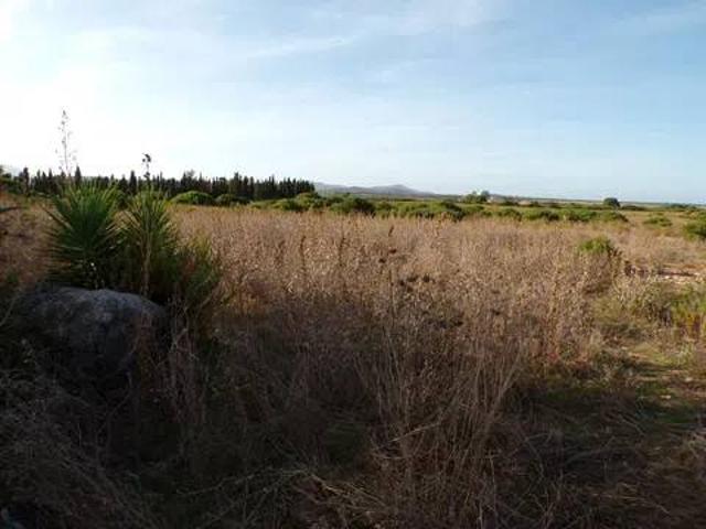Terreno in vendita a Olmedo, Sardigna/Sardegna