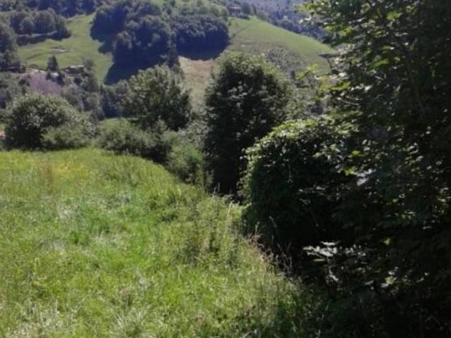 Terreno in vendita a Plazza, Oneta