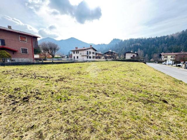 Terreno in vendita a Onore, Lombardia