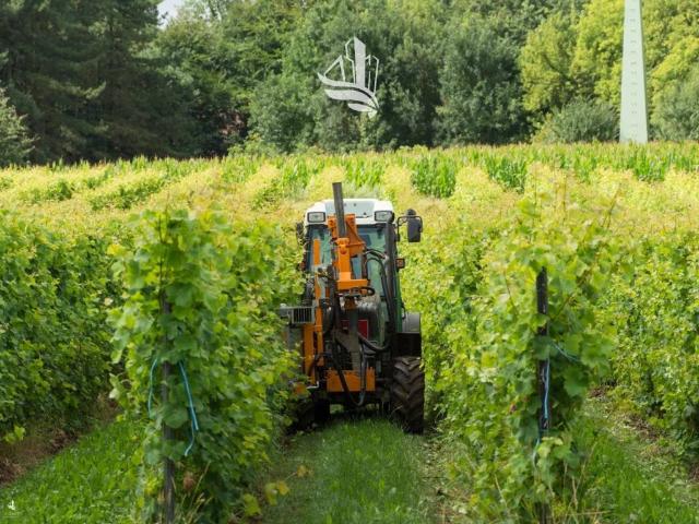 Terreno in vendita a Überetsch-Unterland - Oltradige-Bassa Atesina, Ora