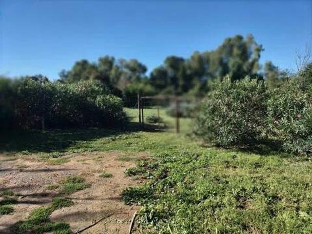 Terreno in vendita a Quattro Strade, Orbetello
