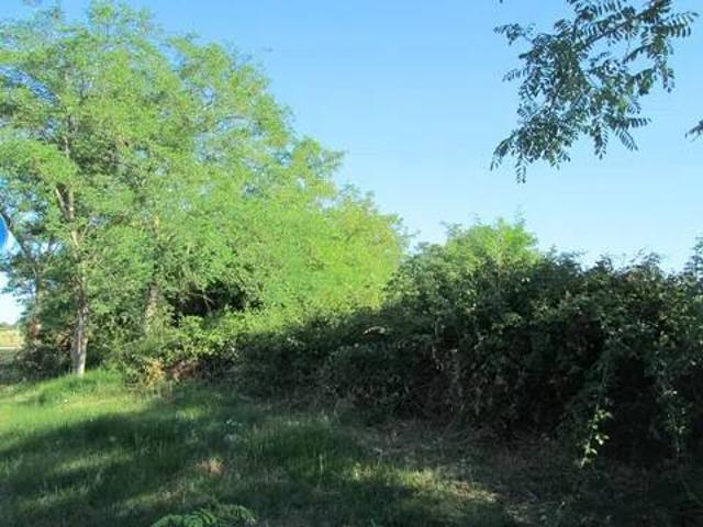 Terreno in vendita a Albinia, Orbetello
